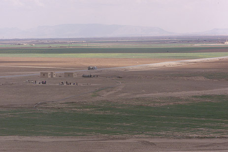 Steppe Landscape of Northern Mesopotamia