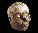 Jericho Plastered Skull